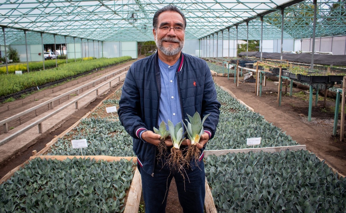 Esta iniciativa  representa una alternativa ambientalmente responsable / Foto: Especial