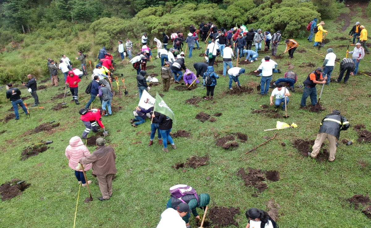 Las acciones se suman 450 hectáreas a restaurar en zonas estratégicas de recarga del acuífero. Foto: Especial