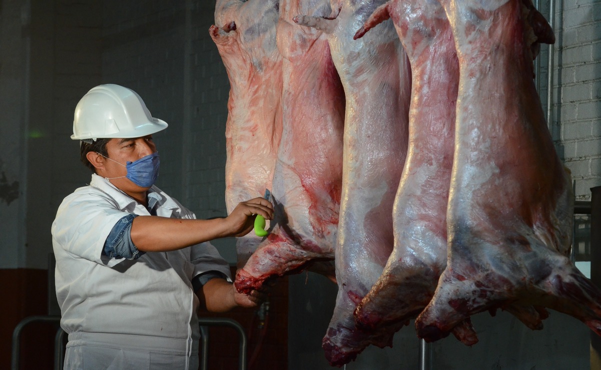 Edomex: Baja producción de los productos ovinos