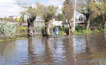 Vecinos de San Mateo Atenco denuncian abandono ante severas inundaciones