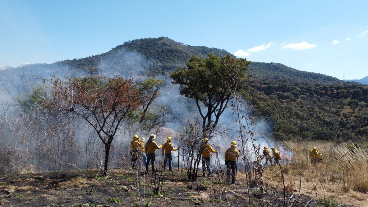 Los incendios que se han presentado en estos primeros meses del año son en un 50 por ciento originadas por quemas agrícolas / Foto: Especial