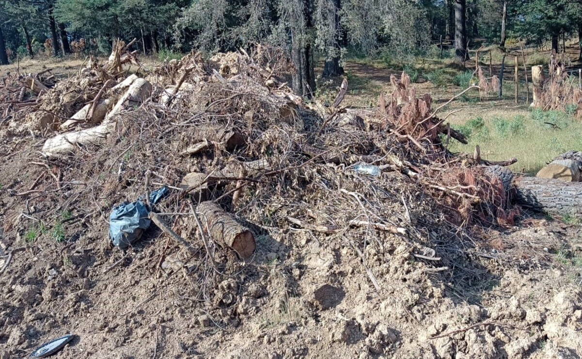 La preocupación es por cómo se realiza la construcción, sin consultar a la comunidad. Foto: Especial