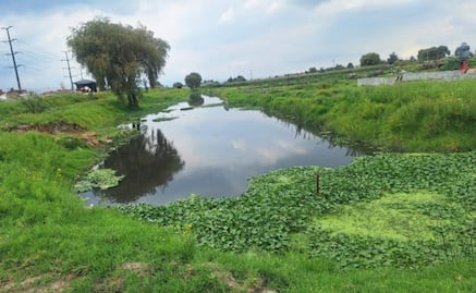 ¡No tires basura, ayuda a prevenir inundaciones! Desazolvan cauces susceptibles en Toluca