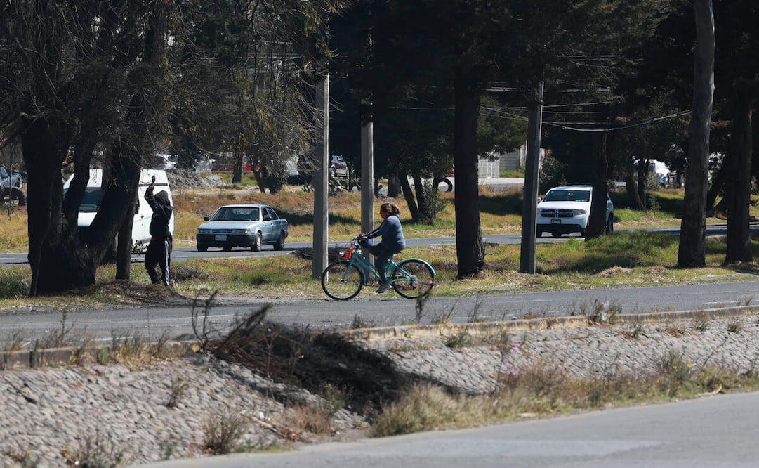 Los principales factores que han propiciado los accidentes son la falta de puentes peatonales / Foto Alejandro Vargas