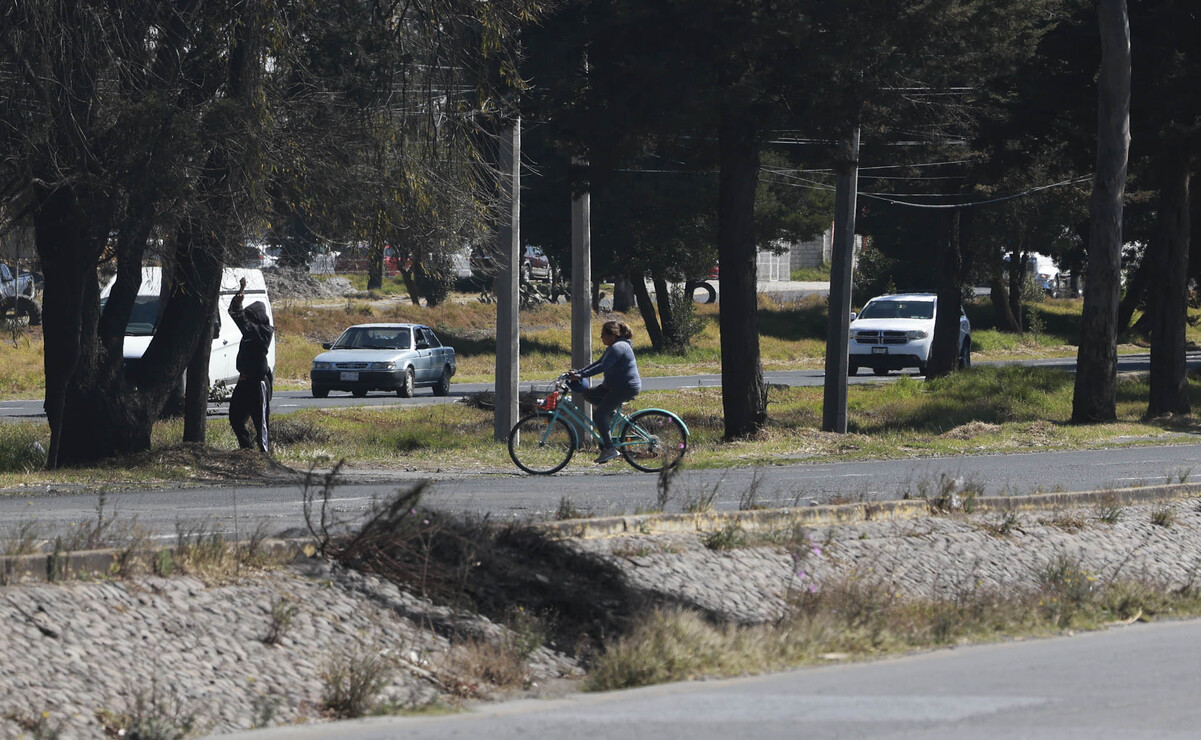 Los principales factores que han propiciado los accidentes son la falta de puentes peatonales / Foto Alejandro Vargas