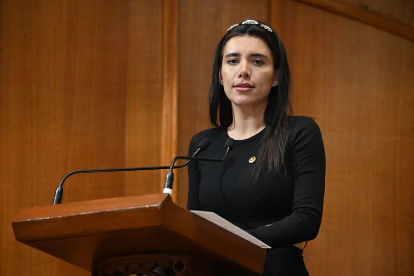 La diputada Itzel Pérez Correa llamó a legislar sobre IA. Foto Especial
