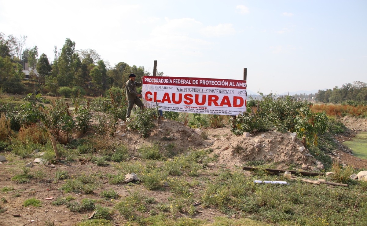 El “corredor de polinizadores” en Lago de Guadalupe fue clausurado por Profepa por daño ecológico. Foto Especial
