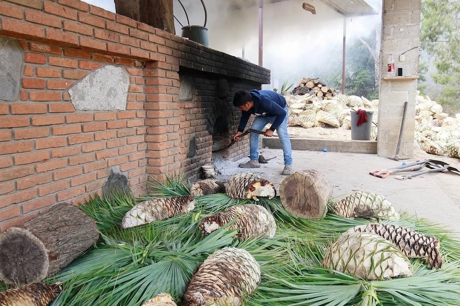 La normativa prohibirá estrictamente el uso indebido o la imitación del nombre "Mezcal del Estado de México" para garantizar la autenticidad. Foto Alejandro Vargas / El Universal