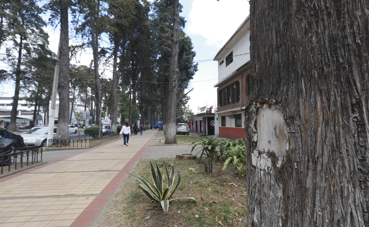 Intensifican recorridos para detectar a tiempo cualquier situación que ponga en peligro la integridad de las personas / Foto Alejandro Vargas