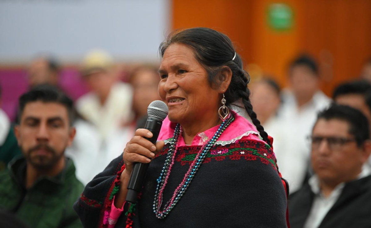 La diputada Leticia Mejía García pide acciones urgentes para salvar nuestro patrimonio lingüístico. Foto: Especial