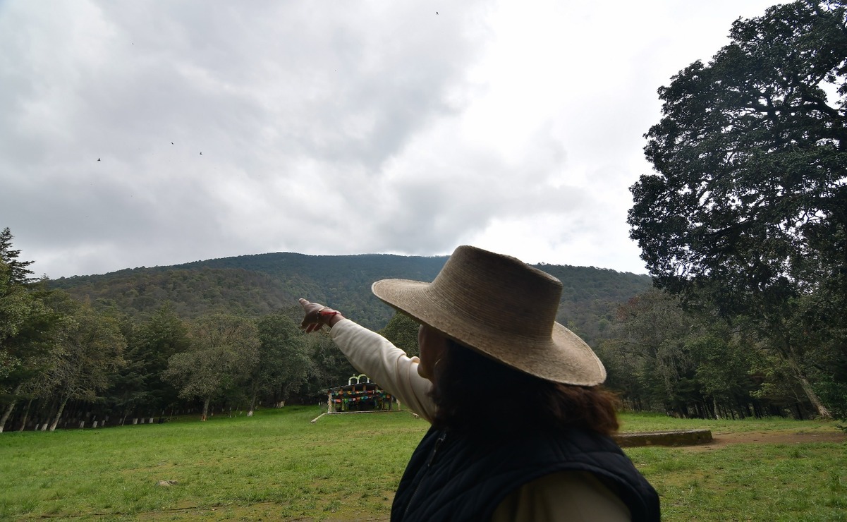 Se hizo una reforestación simbólica en los alrededores de San Pedro Atlapulco, en el municipio de Ocoyoacac / Foto: Arturo Hernández