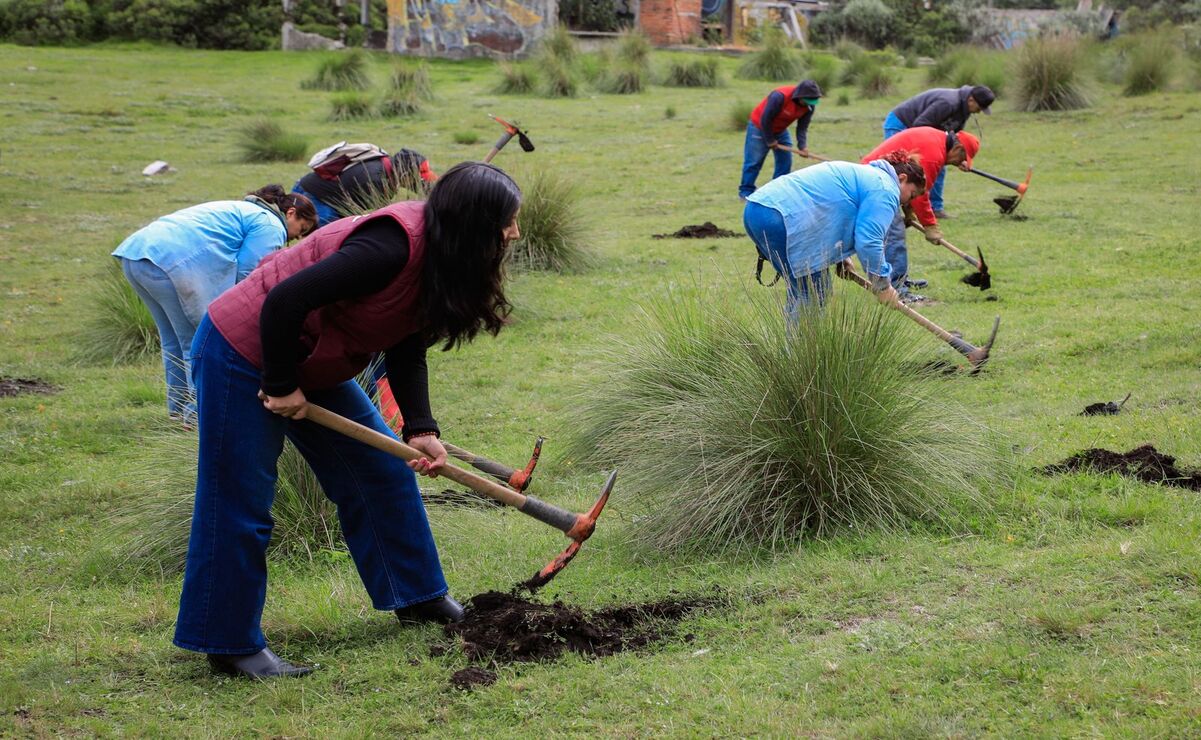 Las cuadrillas de la Dirección de Medio Ambiente fueron las encargadas de realizar los hoyos para la plantación de los árboles / Foto: Especial