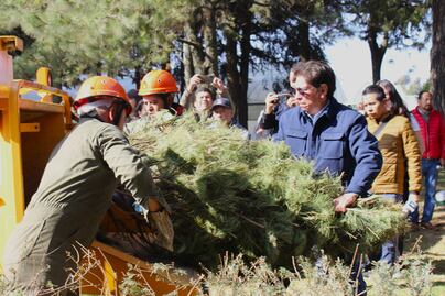 ¿Dónde reciclar tu árbol de Navidad en el Edomex? ¡Descúbrelo aquí!