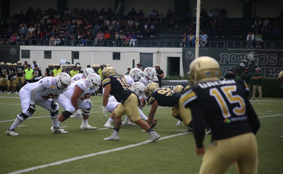 Head coach de los Potros Salvajes hace un balance del equipo a media temporada de la ONEFA