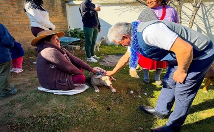 Avanza campaña de esterilización animal en comunidades indígenas de San Felipe del Progreso  