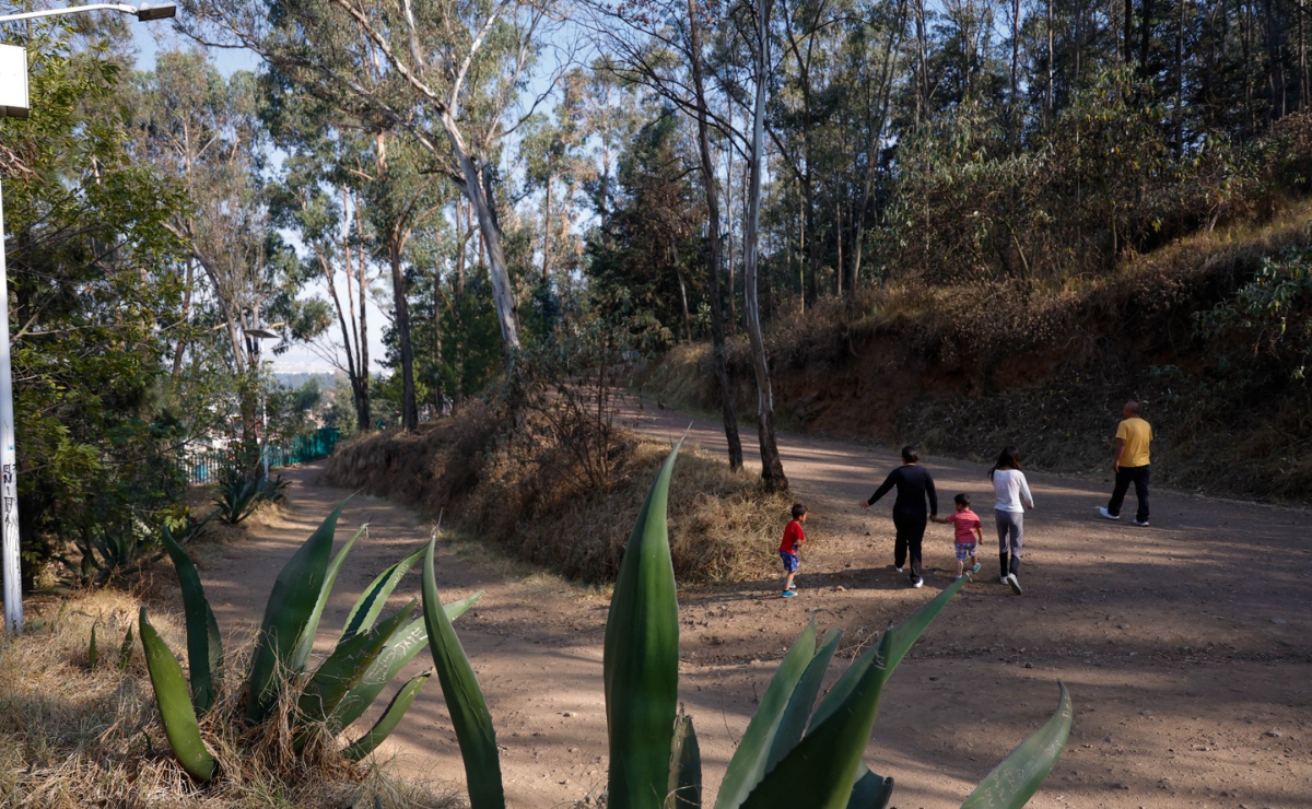 El Cerro de Metepec, un testigo silencioso de sacrificios prehispánicos ahora clama por atención. Foto: Arturo Hernández