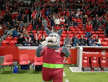 ¡Adopta un campeón! 10 lomitos buscan equipo en el Toluca FC