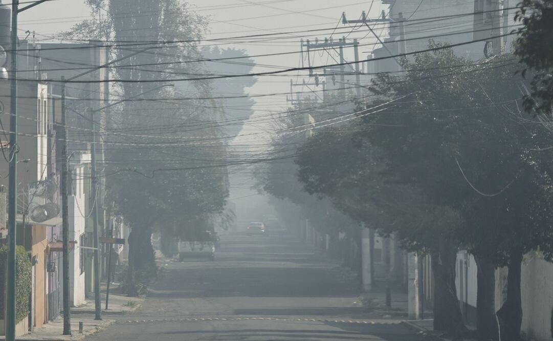El ozono afecta la salud de las personas / Foto: Jorge Alvarado