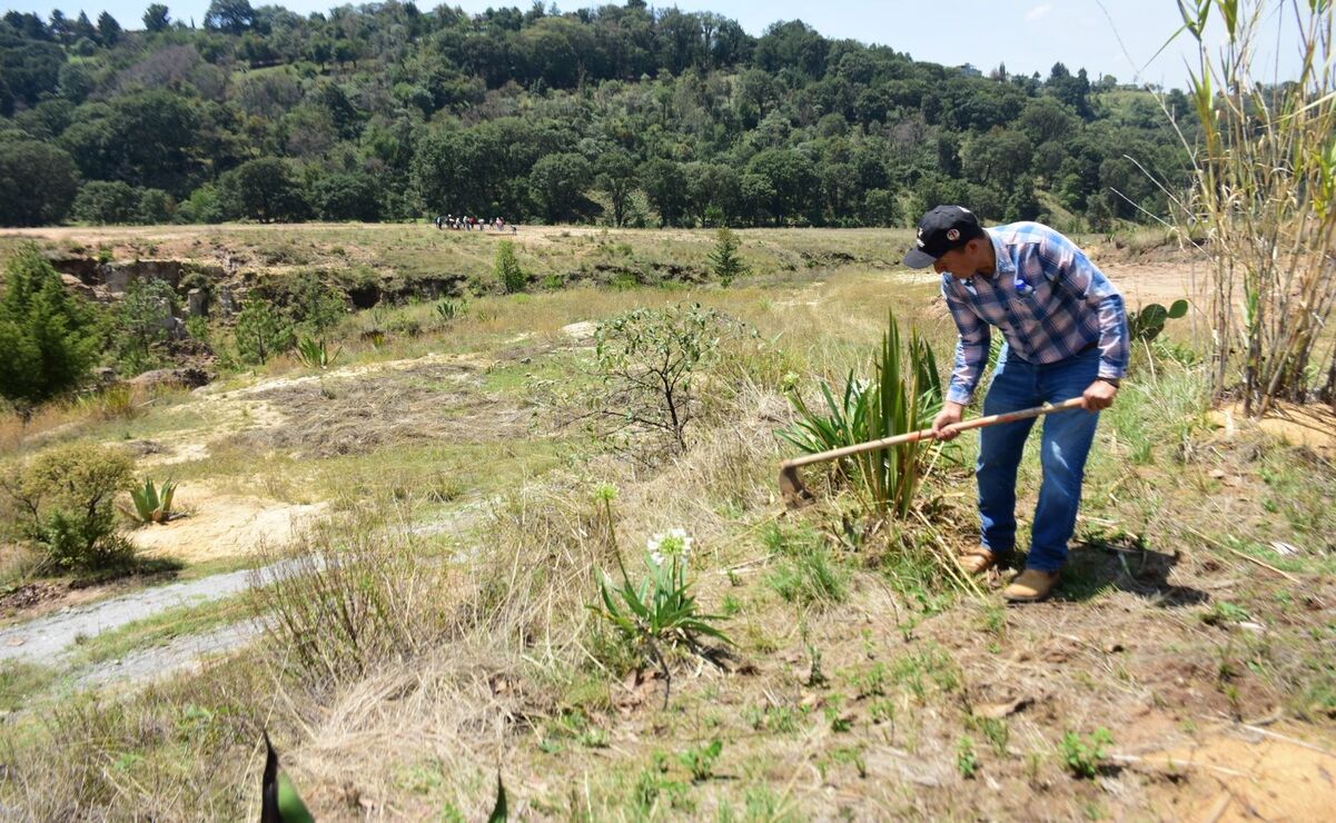 En el lugar se realizó una demostración de actividades silviculturales en una superficie de 25 hectáreas. Foto: Especial