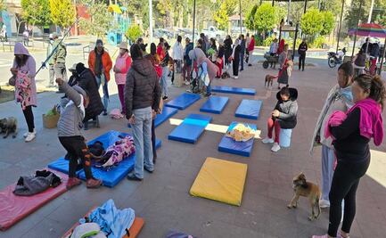 ¡Esteriliza a tu mascota gratis! Jornada en Toluca este fin de semana