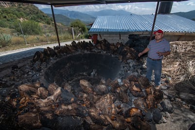 Palmar de Guadalupe, en Malinalco, cuna del mezcal mexiquense