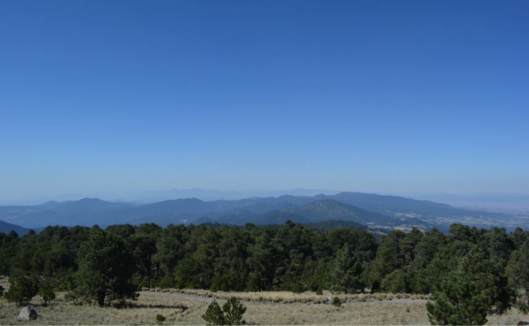 Pronóstico del tiempo para Toluca: Día con sol y viento moderado, con probabilidad de lluvia intensa durante la madrugada Foto: Especial