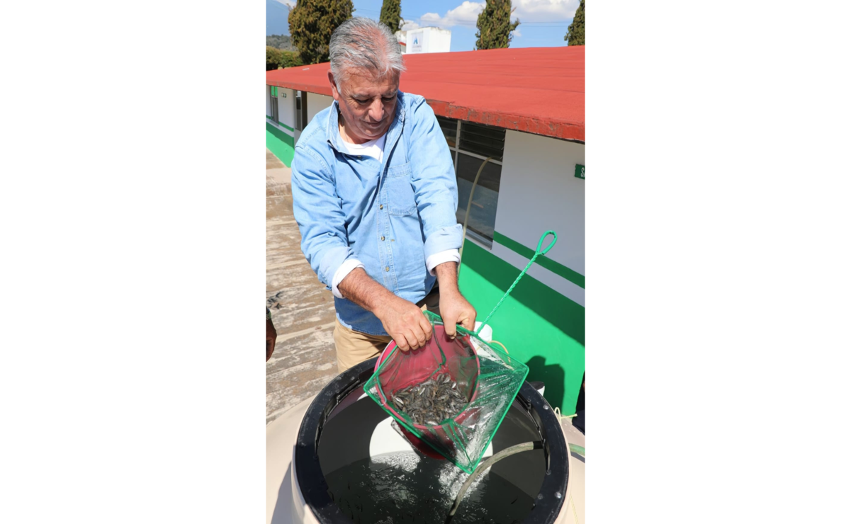 La entrega de los ejemplares se realizó en el Centro Acuícola Tiacaque, bajo la administración de la Secretaría del Campo Edomex. Foto: Especial