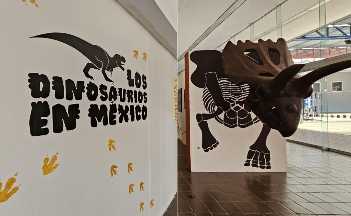 ¡Edomex se convierte en la era jurásica! Dinosaurios gigantes escapan del museo