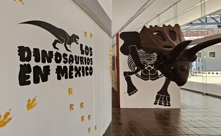 ¡Edomex se convierte en la era jurásica! Dinosaurios gigantes escapan del museo