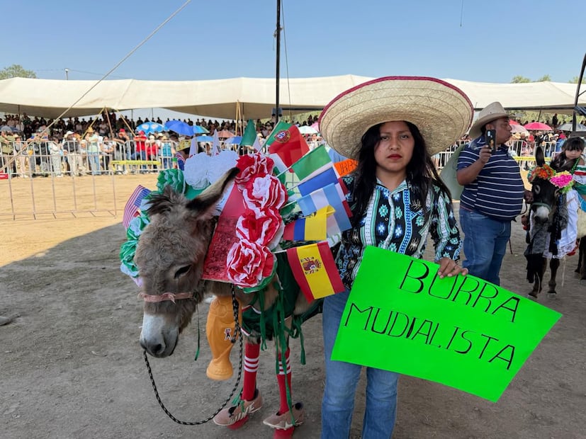 En la edición 61 de la Feria Internacional del Burro, 19 jumentos desfilaron por la pista con disfraces que mezclaron ingenio y mensaje. Foto: especial