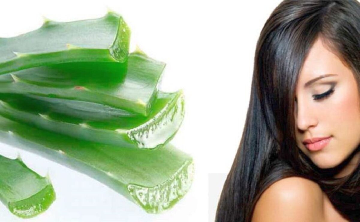 Funciona como un gran hidratante para el cabello seco o maltratado / Foto Especial