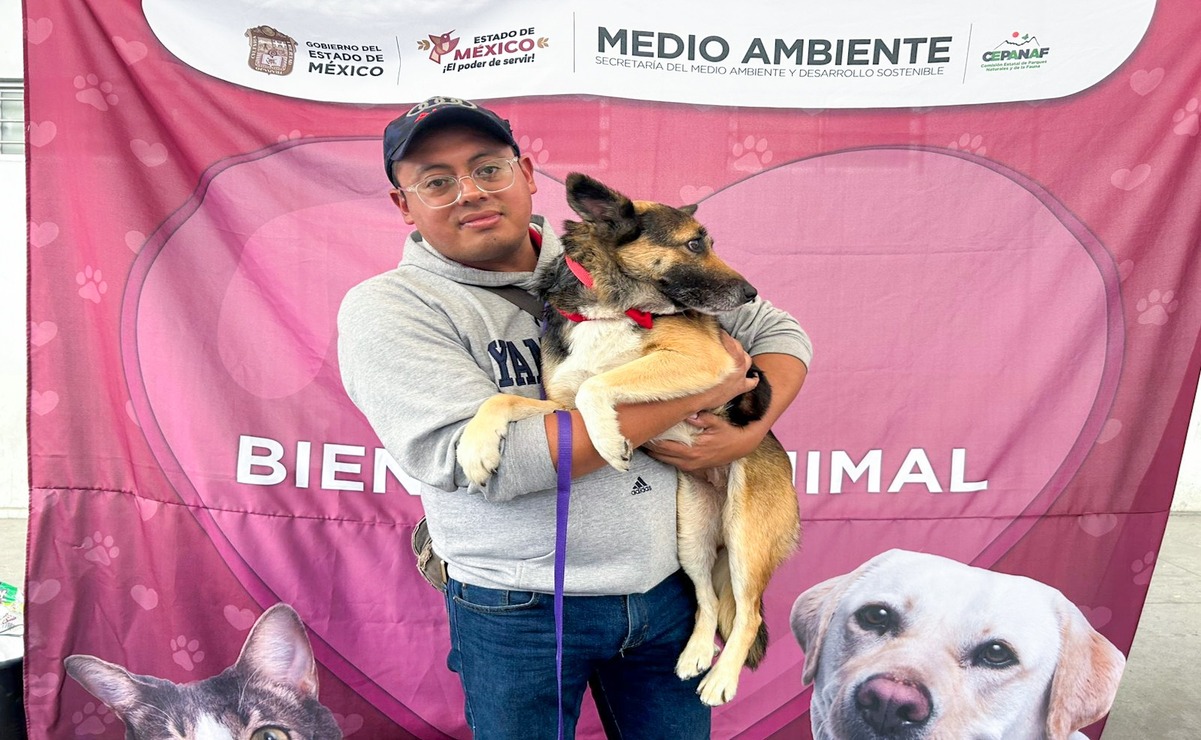 El proceso de adopción es gratuito y acompañado por personal especializado de Cepanaf, quienes asesoran a las familias. Foto: Especial