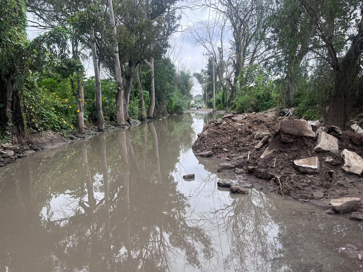 Avenida San Francisco de Asís