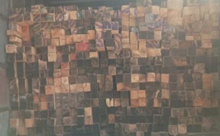 Detienen a dos con polines frescos de Oyamel en Tianguistenco 