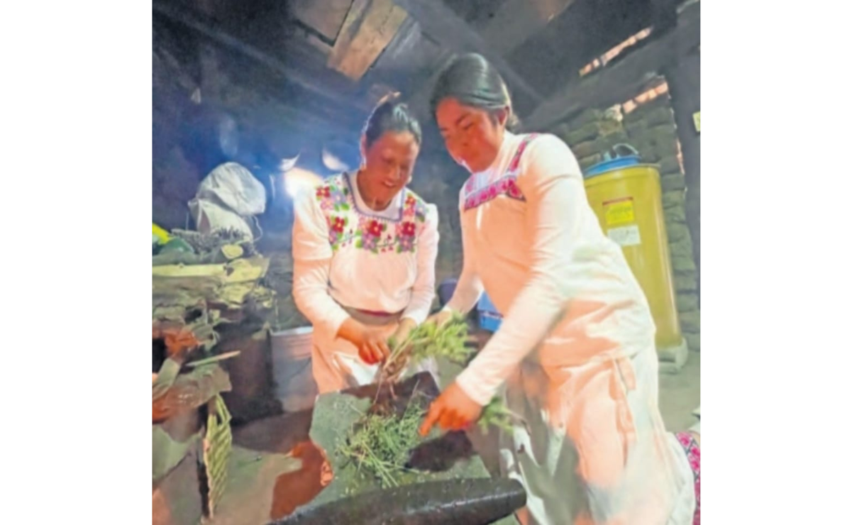 A través de “Manos que Sanan”, las mujeres otomíes elaboran remedios naturales. Foto: Michelle Sánchez