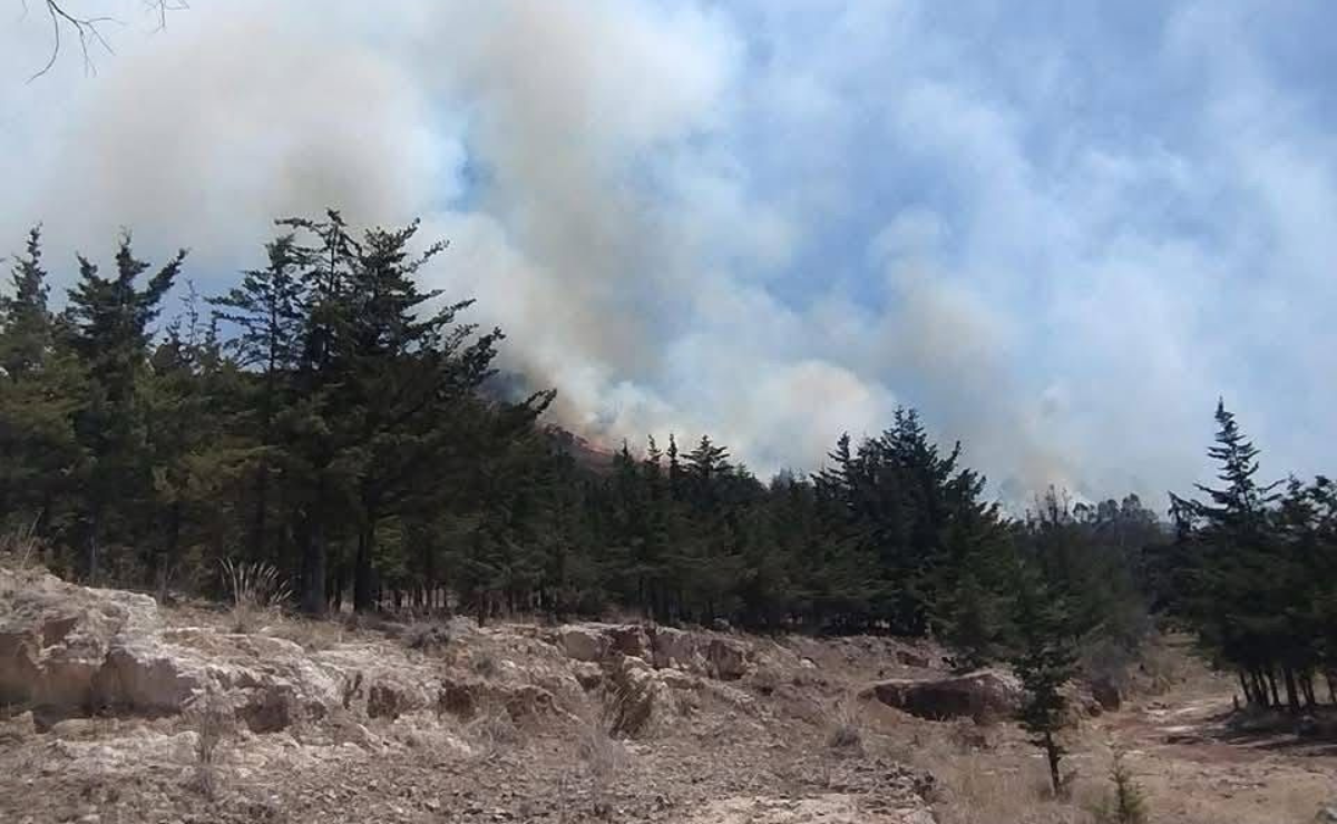 Bomberos y brigadas forestales luchan contra incendios en Atlacomulco, donde hectáreas de bosque han sido devastadas. La falta de medidas preventivas agrava la situación Foto: Especial
