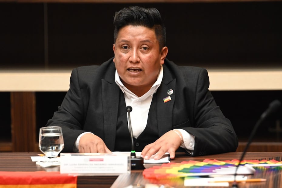 Luisa Navarro. Especial