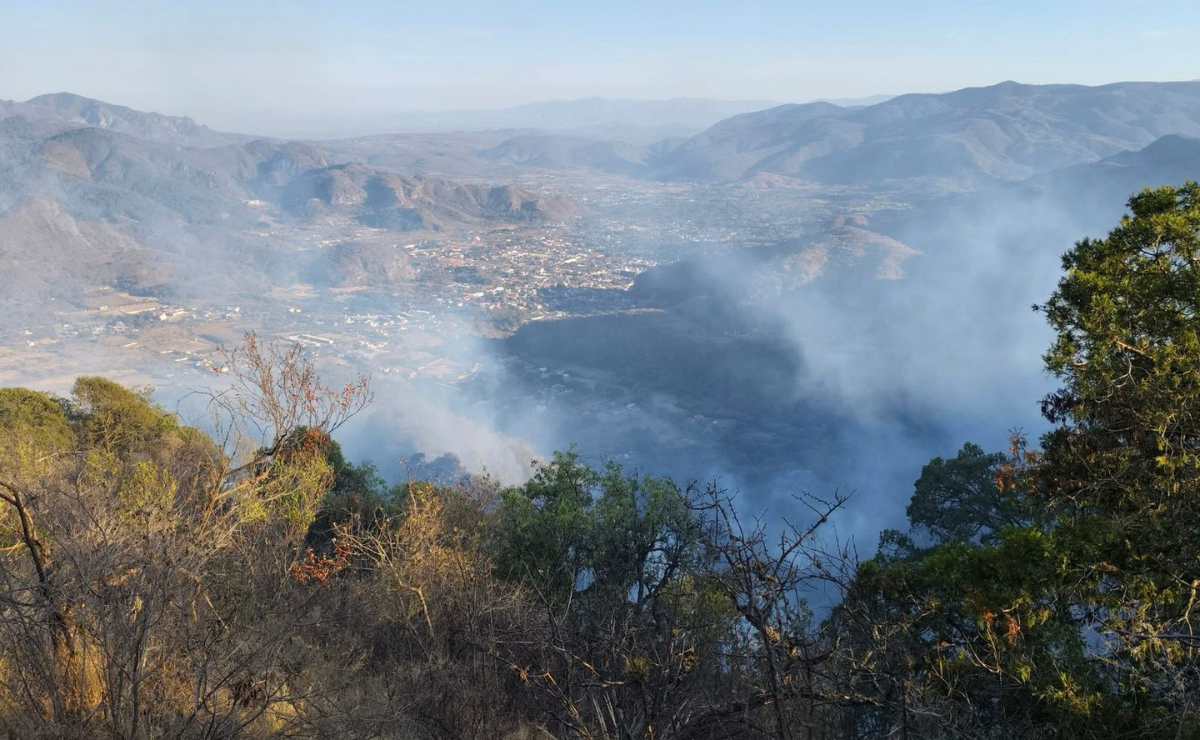 Humo asfixiante en Ocuilan: Van 3 días de lucha contra el fuego
