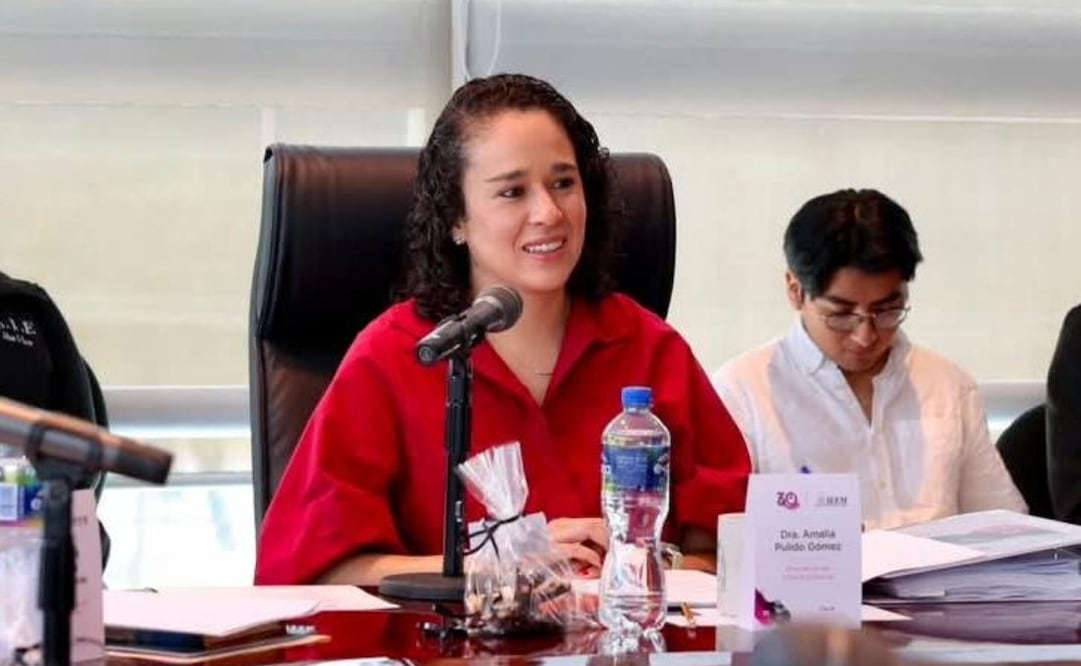 La consejera presidenta del IEEM, Amalia Pulido Gómez, busca una reunión clave con la Secretaría de Finanzas para destrabar los recursos. Foto Especial