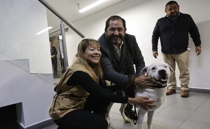 Delfina Gómez, gobernadora del Edomex reconoce a diputado por adoptar a Chalquito