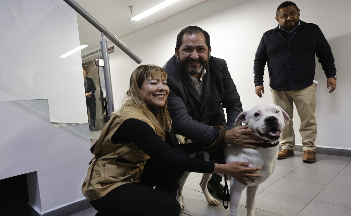 “Chalquito” fue entregado en adopción al diputado Francisco Vázquez Rodríguez, líder parlamentario de Morena. Foto: Jorge Alvarado / El Universal Edomex