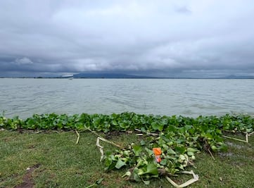 Contaminación retrasa regreso de aves a la Laguna de Zumpango