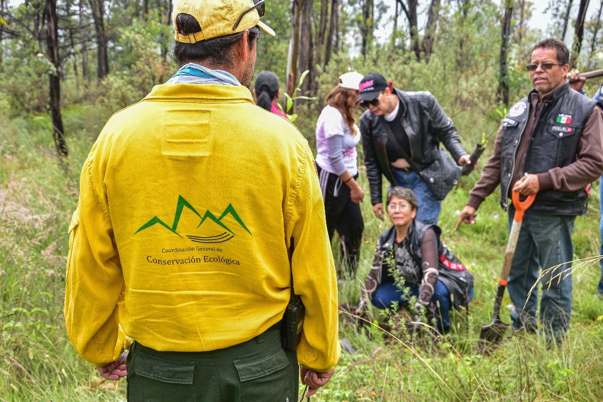 Coacalco, Méx.- Con la participación de 300 voluntarios, 34 policías estatales y 30 motociclistas, se realizó una jornada de reforestación en el Parque Estatal Sierra de Guadalupe, organizada por la Secretaría de Seguridad del Estado de México (SSEM), la Secretaría del Medio Ambiente y Desarrollo Sostenible y el Club de Motos Dogos MC.
