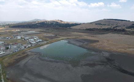 Alerta ecológica: Lagunas del Parque Sierra Morelos sufren invasión del Lirio acuático