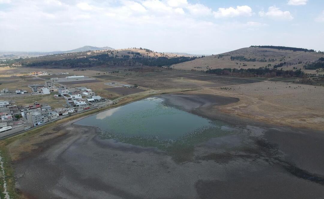 El colectivo ambientalista Ineetsi Mx ha llevado a cabo una intensa campaña de limpieza del lirio acuático en las lagunas del Parque Sierra Morelos. Foto: Alejandro Vargas / El Universal Estado de México