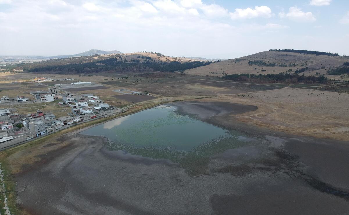 El colectivo ambientalista Ineetsi Mx ha llevado a cabo una intensa campaña de limpieza del lirio acuático en las lagunas del Parque Sierra Morelos. Foto: Alejandro Vargas / El Universal Estado de México