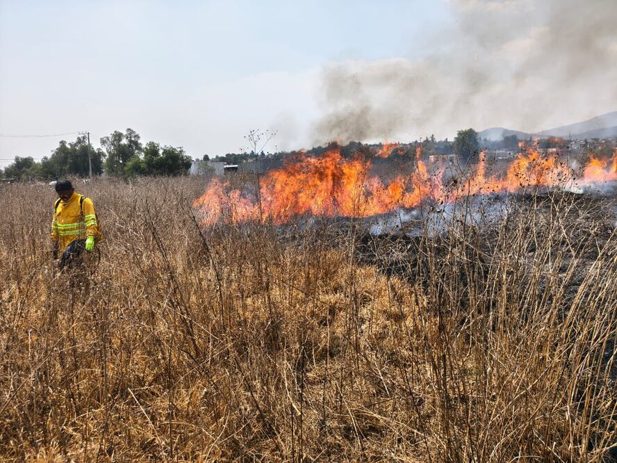 El siniestro afectó dos hectáreas de terreno baldío antes de ser extinguido totalmente por los cuerpos de emergencia. Foto Especial