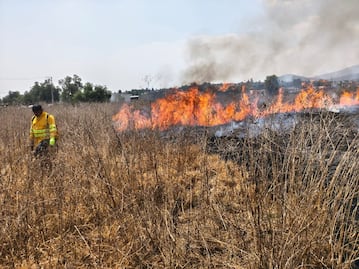 ¡Susto en Tlacateco! Bomberos frenan incendio de dos hectáreas en Tepotzotlán