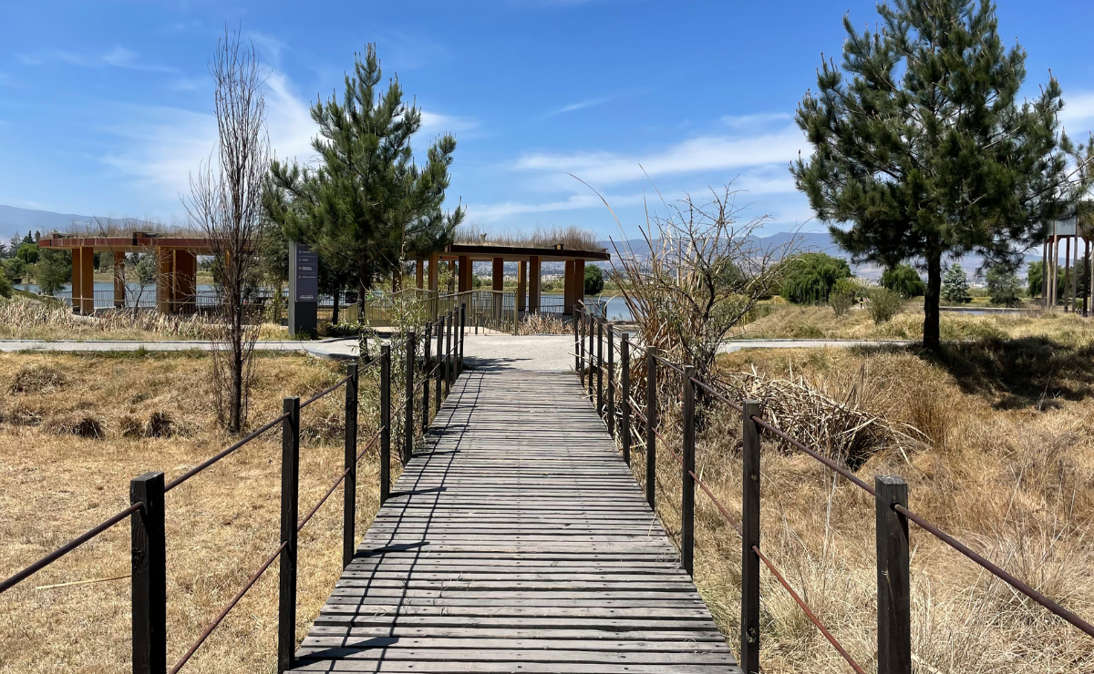 ¡El ajolotario de Toluca se renueva! Después de enfrentar inundaciones, este santuario en Sierra Morelos estará listo y mejorado para finales de 2025. Foto: Alejandro Vargas