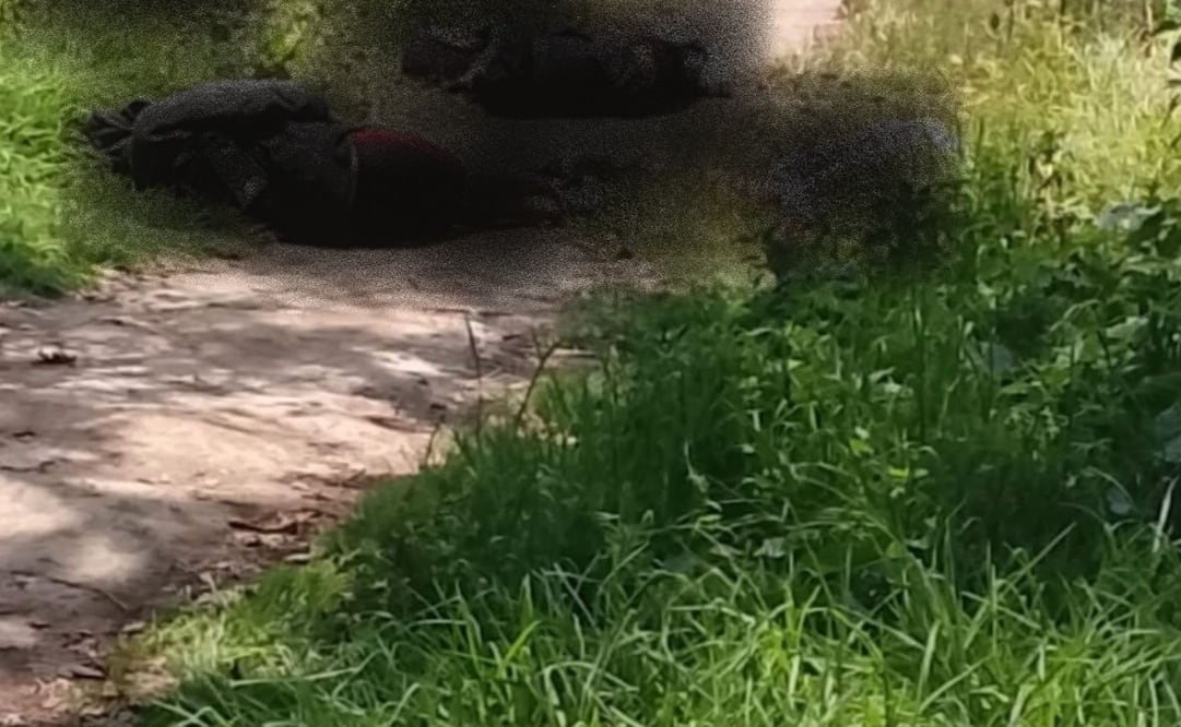 Vecinos de la zona alertaron a las autoridades tras el hallazgo de las víctimas entre la vegetación. Foto Especial